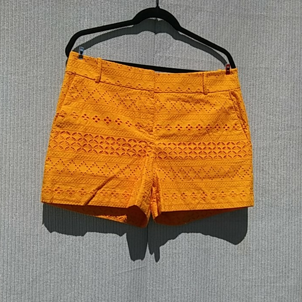LOFT lace/crochet pattern shorts
